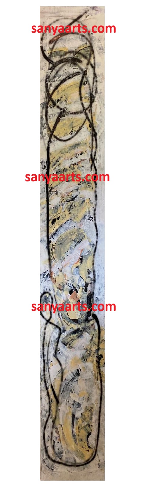 The misunderstood cello